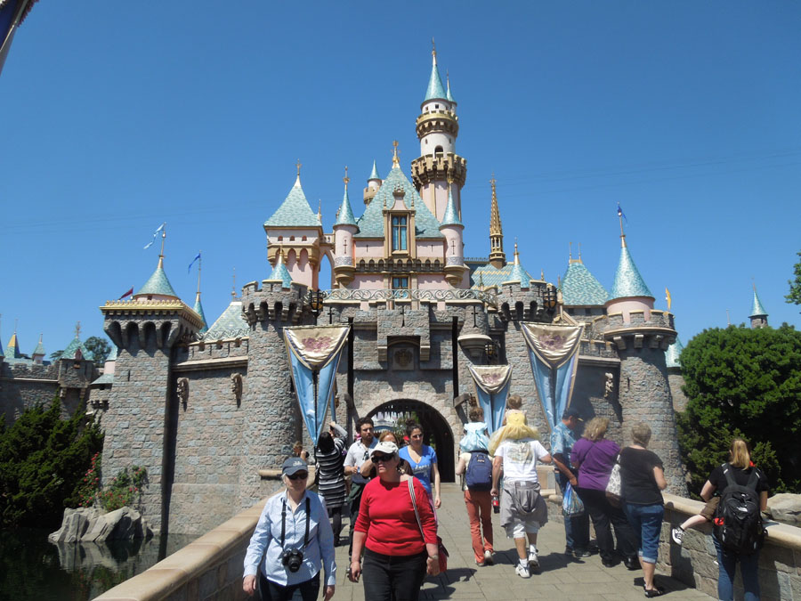 Disneyland Castle Picture